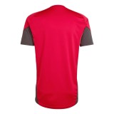 Thai Version Liverpool 25/26 Competition Training Jersey