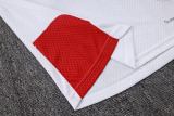 Player Version Germany 2026 Training Pro Kit D2603