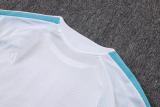 Player Version Argentina 2026 Training Pro Kit D2603