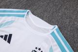Player Version Argentina 2026 Training Pro Kit D2603