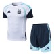 Player Version Argentina 2026 Training Pro Kit D2603