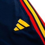 Player Version Spain 2026 Pro Training Pants