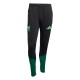 Player Version Mexico 2026 Pro Training Pants