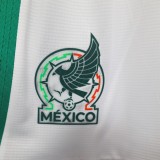 Player Version Mexico 2026 Home Authentic Shorts