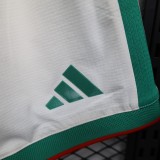 Player Version Algeria 2026 Home Authentic Shorts