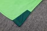 Player Version Mexico 2026 Sleeveless Training Pro Kit
