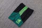 Player Version Mexico 2026 Sleeveless Training Pro Kit