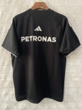 Mercedes AMG Petronas F1 2025 Team DNA T-Shirt