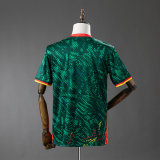 Thai Version Cameroon 2026 Special Jersey