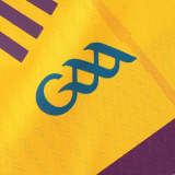 Wexford GAA 2026 Men's Home Jersey - 3 Stripe