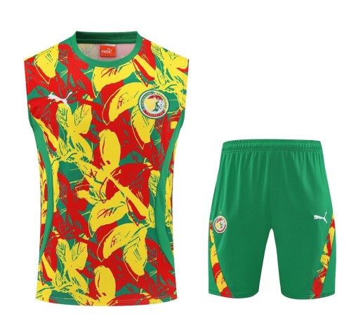 Senegal 25/26 Sleeveless Jersey and Shorts Set