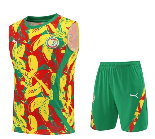 Senegal 25/26 Sleeveless Jersey and Shorts Set