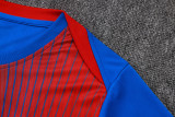 PSG 25/26 Training Shirt and Shorts Set D25233 - PM