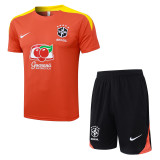 Brazil 25/26 Training Shirt and Shorts Set D25271