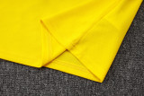 Brazil 25/26 Training Shirt and Shorts Set D25254