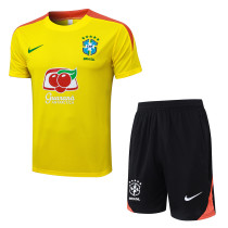 Brazil 25/26 Training Shirt and Shorts Set D25254