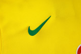 Brazil 25/26 Training Shirt and Shorts Set D25254