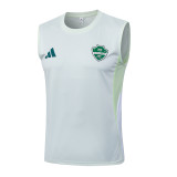 Al Ahli 25/26 Sleeveless Jersey and Shorts Set D25262
