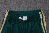 Player Version Italy 2026 Training Pro Shorts