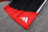 Player Version Germany 2026 Training Pro Shorts