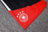 Player Version Germany 2026 Training Pro Shorts
