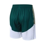 Player Version Italy 2026 Training Pro Shorts