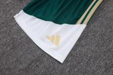 Player Version Italy 2026 Training Pro Shorts