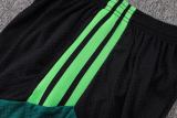 Player Version Mexico 2026 Training Pro Shorts