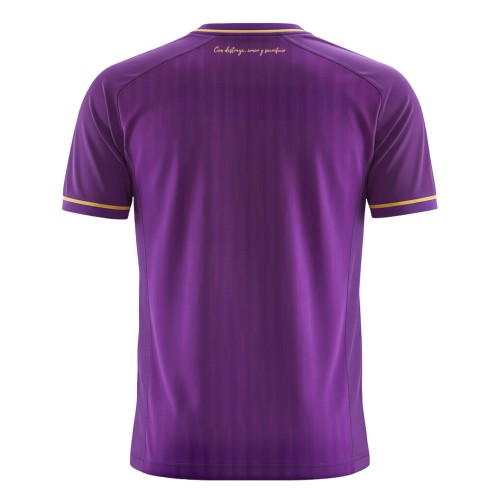 Thai Version Deportes Concepción 26/27 Home Jersey