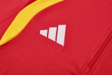 Player Version Germany 26/27 Half-Zip Training Top and Pants Set