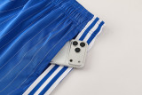 Chelsea 26/27 Terrace Icons Kit