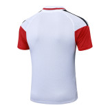 Player Version Germany 26/27 1/4 Zip Training Pro Polo and Pants Set D2603