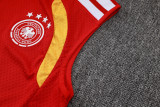 Player Version Germany 26/27 Sleeveless Jersey and Pants Set D2603