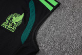 Player Version Mexico 26/27 Sleeveless Jersey and Pants Set D2603