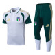 Player Version Italy 26/27 1/4 Zip Training Pro Polo and Pants Set D2603