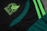Player Version Mexico 26/27 1/4 Zip Training Pro Polo and Pants Set D2603