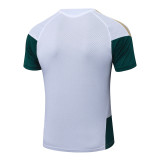 Player Version Italy 26/27 Training Shirt and Pants Set D2603