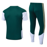 Player Version Italy 26/27 Training Shirt and Pants Set D2603