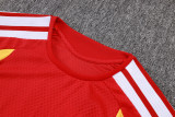 Player Version Germany 26/27 Training Shirt and Pants Set D2603