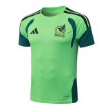 Kids Player Version Mexico 2026 Training Pro Kit D2603