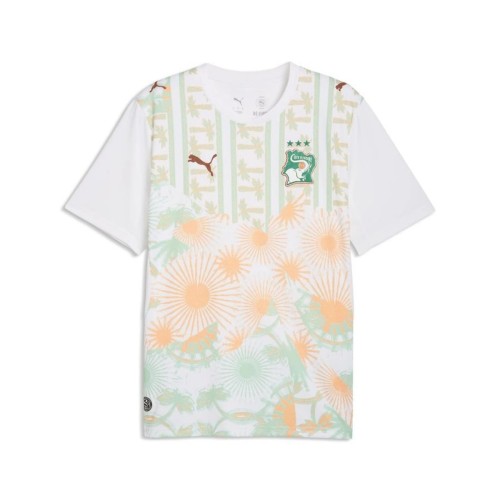 Thai Version Ivory Coast 2026 Away Jersey