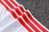 SC Internacional 26/27 Half-Zip Training Top and Pants Set B26022