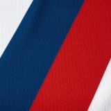 Player Version EC Bahia 26/27 Home Authentic Jersey
