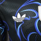 Player Version Argentina 2026 Away Long Sleeve Authentic Jersey