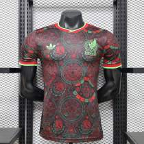 Player Version Mexico 2026 Special Authentic Jersey