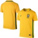 Brazil 2016/2017 Home Retro Jersey