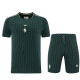 Juventus 26/27 Terrace Icons Kit