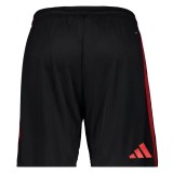 Thai Version Flamengo 26/27 Away Shorts