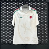 Thai Version Wales 2026 Away Jersey