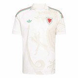 Thai Version Wales 2026 Away Jersey